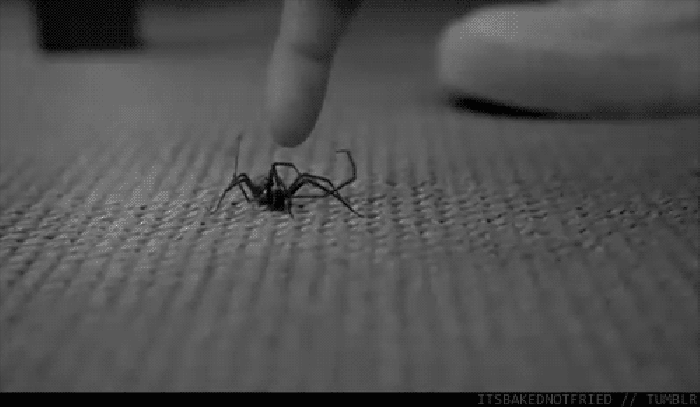 夜晚 蜘蛛 倒立 可怕