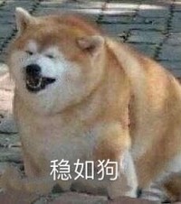 萌宠 汪星人 稳如狗 胖了 搞怪 逗
