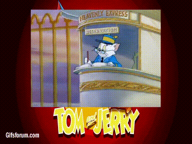 猫和老鼠 小猫 萌萌哒 卡通 tom and jerry