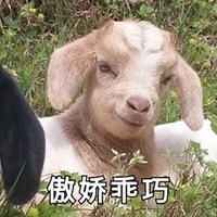 萌宠 小羊 傲娇 乖巧 呆萌 可爱