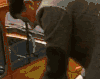 憨豆先生 搞笑 锁车 独特