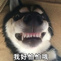 哈士奇 搞笑 二哈 魔性 文字表情包