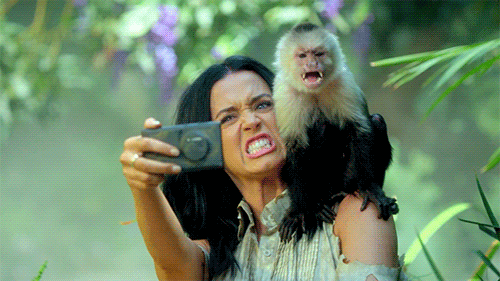 佩里 虚荣 音乐 视频 猴子 具有 咆哮 凯蒂 大象 自拍 公平的 阵雨 拿