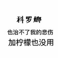 黑色 汉字 科罗娜也治不了 我的悲伤 加柠檬也没用