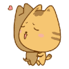 拥抱 可爱 温暖 猫咪