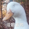 萌宠 小鸭子 没眼看 拒绝 搞怪 呆萌