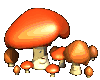 trippy 图片 蘑菇 可爱