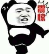 暴漫 文字表情包 震惊 搞笑 逗 沙雕
