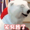 可口可乐吉祥物 北极熊 笑死我了你觉得呢 soogif soogif出品