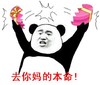 金馆长 张嘴 熊猫头 去你妈的本命