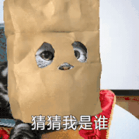 萌宠 喵星人 猜猜我是谁 我是谁 搞怪 逗