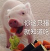 萌宠 小猪 你这只猪 就知道吃 搞怪 逗