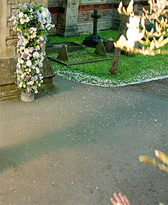 婚礼 拍摄 草地 鲜花