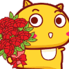 动物 小猫 可爱 鲜花