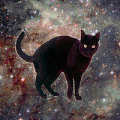 宇宙 星空 猫 cat