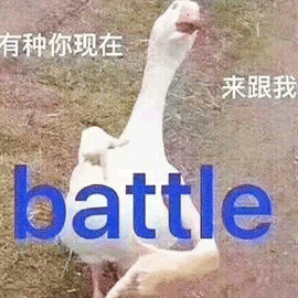 battle 鴨子 搞怪 逗