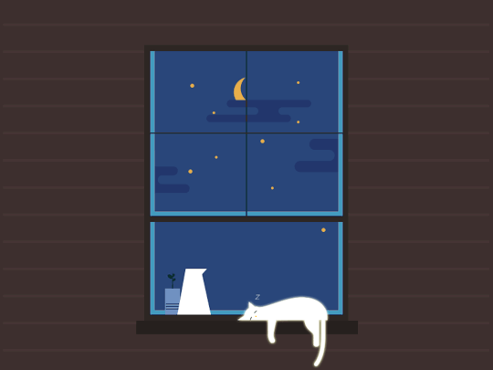 猫 夜晚 流星 窗户