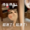 萌宠 猫星人 停车停车 超速了 搞怪 逗