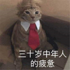 萌宠 猫星人 三十岁中年人的疲惫 无奈 呆萌 可爱