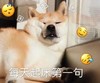 萌宠 汪星人 每天起床第一句 困困困 搞怪 逗