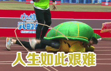 来吧冠军 人生如此艰难 赛跑 乌龟 不容易
