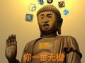 金管长 手掌 佛祖 你一事无橙