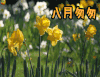 八月再见 八月匆匆 八月 再见 soogif出品 soogif