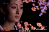 桃花 睡觉 回忆 美人心计