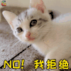 猫咪 猫 萌宠 拒绝 no 我拒绝 soogif soogif出品