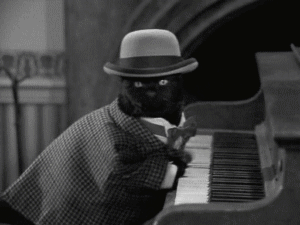 黑白 弹钢琴 乱敲 猫咪
