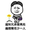 遥知兄弟 登高处 遍插菊花 少一人 斗图 搞笑 猥琐 菊花