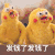 鹦鹉兄弟 发钱了 红包