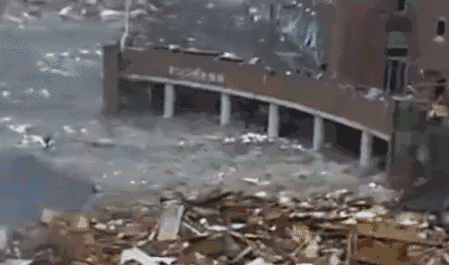 自然灾害 地震 遇难 房屋倒塌