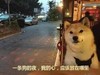 二汪 搞笑 斗图 面无表情 夜晚