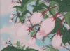 爱情 开花 漂亮 soogif