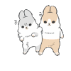 小松鼠 可爱 萌萌哒 斗图