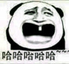 熊猫头 哈哈哈 斗图 搞笑 猥琐 兴奋