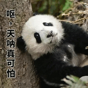 天呐真可怕 熊猫 躺着 树木 可爱
