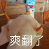 萌宠 小鸭子 爽翻了 开心 搞怪 呆萌