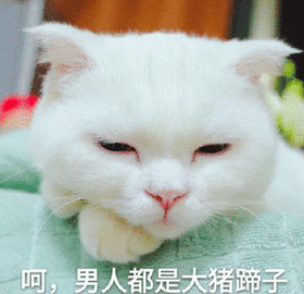 男人都是大豬蹄子