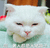 男人都是大猪蹄子 大猪蹄子