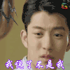 春风十里不如你 影视 明星 我说了不是我 soogif soogif出品