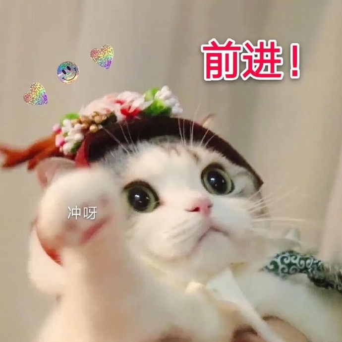 萌宠gif猫星人gif前进gif冲鸭gif搞怪gif可爱gif