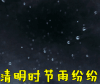 清明节 清明时节雨纷纷