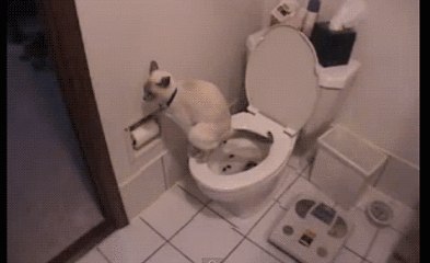 狗狗 上厕所 大便 好厉害