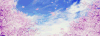 菁华浮梦 天空 落花 动漫
