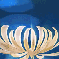 十万个冷笑话 第二季 花开 动漫 二次元