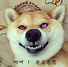 呵呵 有点意思 狗狗 钛合金狗眼