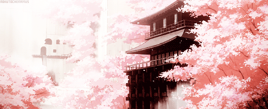 樱花 唯美意境 古寺 日本动漫