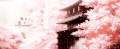 樱花 唯美意境 古寺 日本动漫